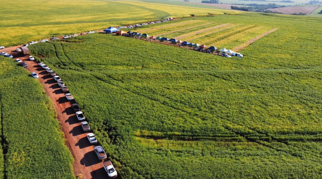 Evento ou feira agrícola na fazenda